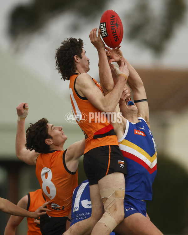 Coates Talent League Boys 2023 - Eastern Ranges v Calder Cannons - A-40294927