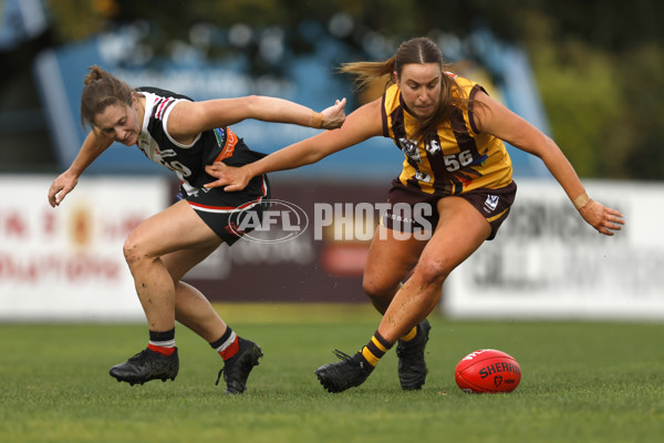 VFLW 2023 Round 14 - Box Hill v Southern Saints - A-40477724