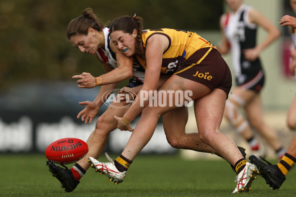 VFLW 2023 Round 14 - Box Hill v Southern Saints - A-40477735