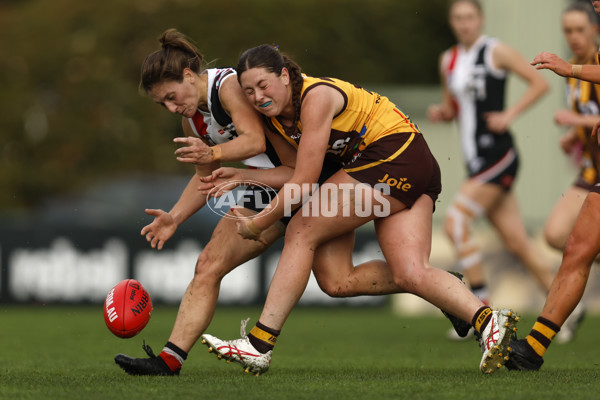 VFLW 2023 Round 14 - Box Hill v Southern Saints - A-40477736