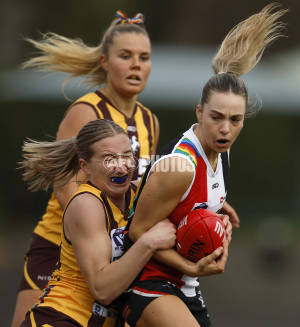 VFLW 2023 Round 14 - Box Hill v Southern Saints - A-40478004