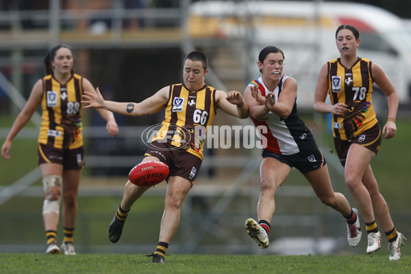 VFLW 2023 Round 14 - Box Hill v Southern Saints - A-40478041