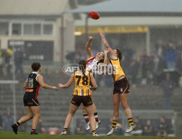 VFLW 2023 Round 14 - Box Hill v Southern Saints - A-40482769