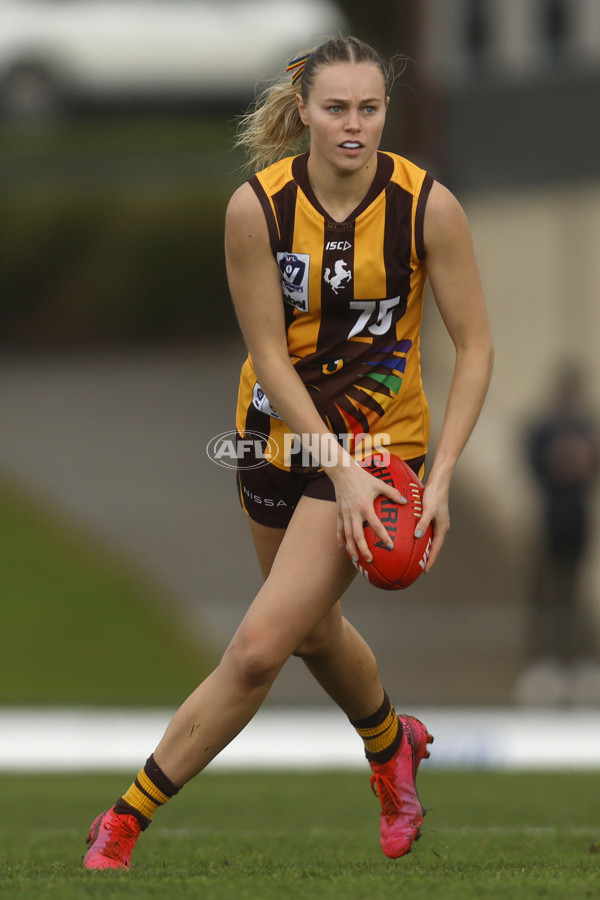 VFLW 2023 Round 14 - Box Hill v Southern Saints - A-40482956