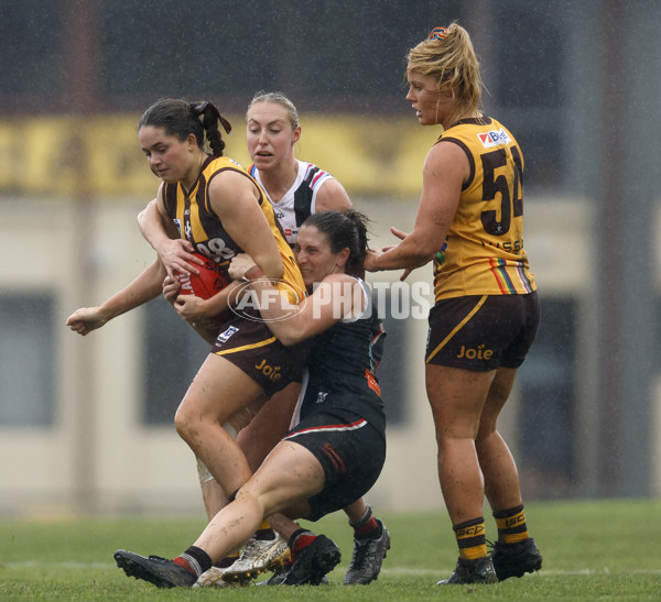 VFLW 2023 Round 14 - Box Hill v Southern Saints - A-40482966