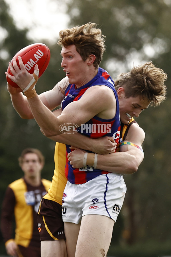 VFL 2023 Round 15 - Box Hill v Port Melbourne - A-40485187