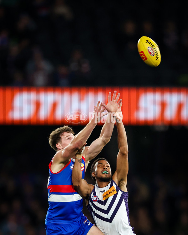 AFL 2023 Round 16 - Western Bulldogs v Fremantle - A-40487904