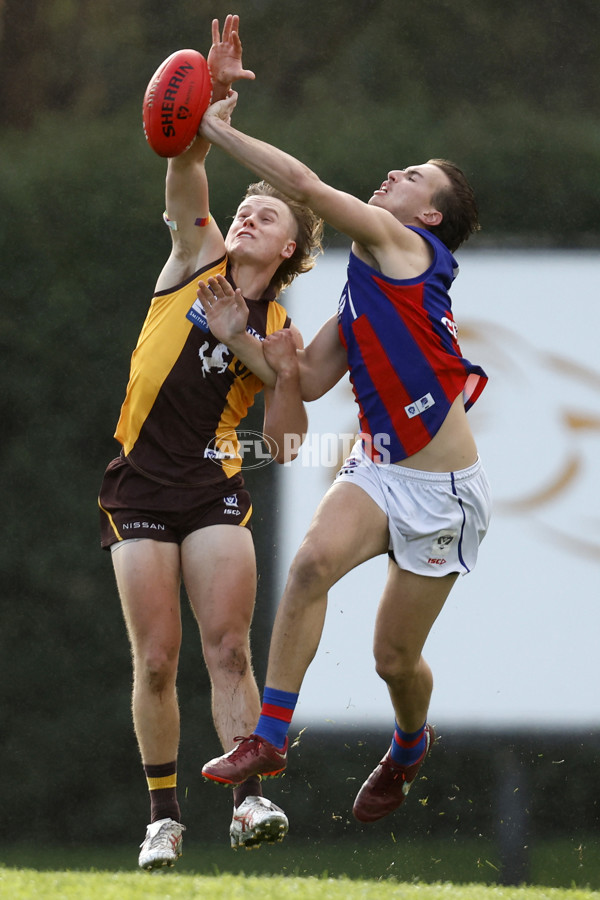 VFL 2023 Round 15 - Box Hill v Port Melbourne - A-40488015