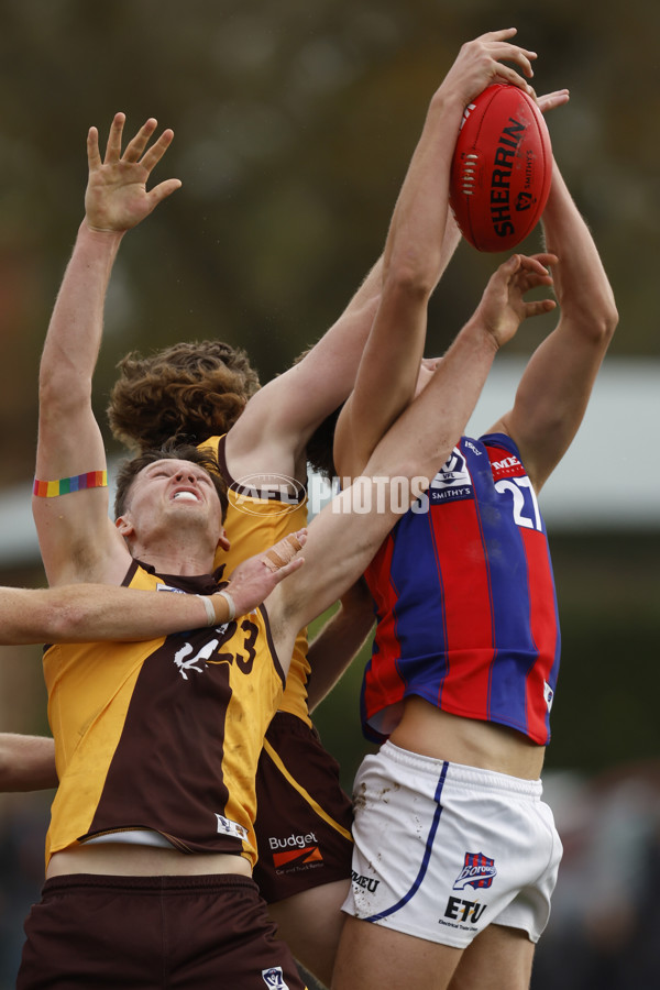 VFL 2023 Round 15 - Box Hill v Port Melbourne - A-40488039