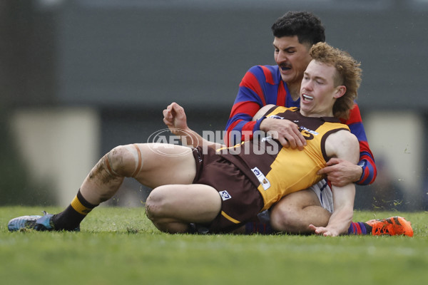 VFL 2023 Round 15 - Box Hill v Port Melbourne - A-40490587