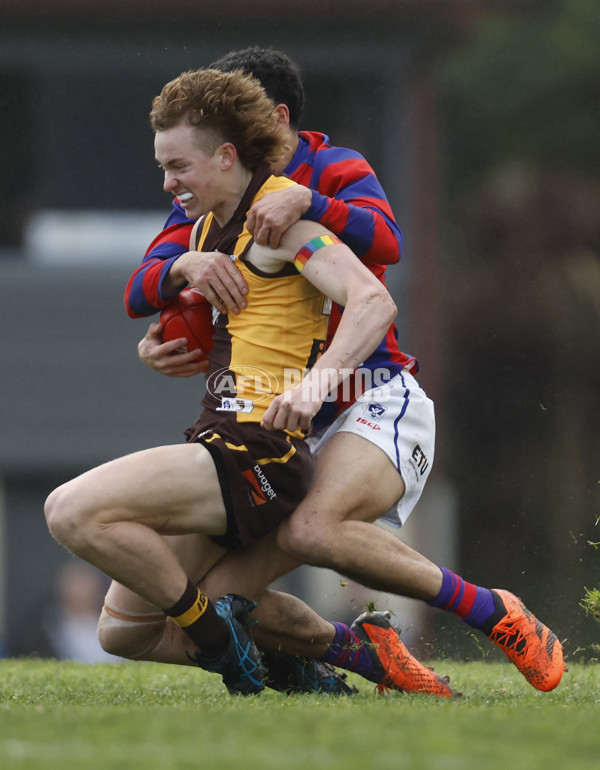 VFL 2023 Round 15 - Box Hill v Port Melbourne - A-40490588