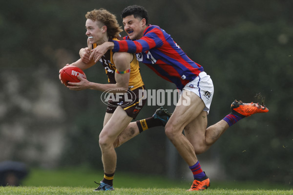 VFL 2023 Round 15 - Box Hill v Port Melbourne - A-40493123