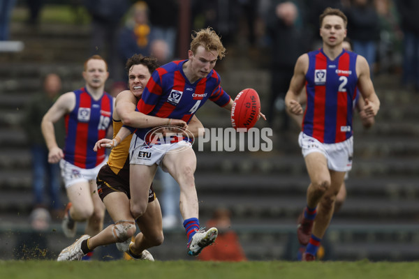 VFL 2023 Round 15 - Box Hill v Port Melbourne - A-40493328