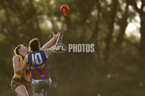 VFL 2023 Round 15 - Box Hill v Port Melbourne - A-40493413