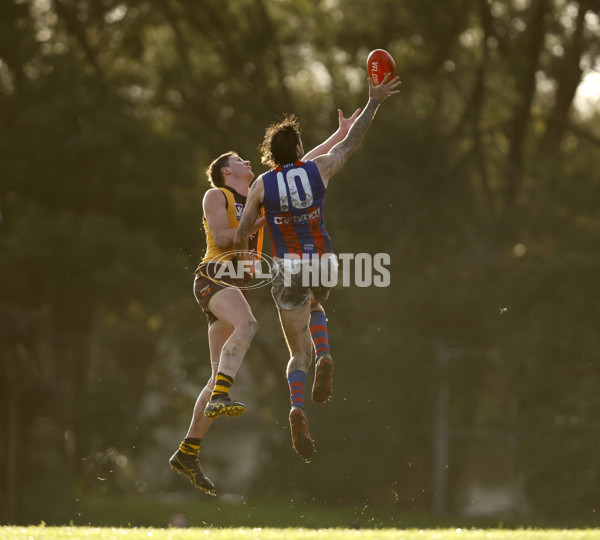 VFL 2023 Round 15 - Box Hill v Port Melbourne - A-40493414