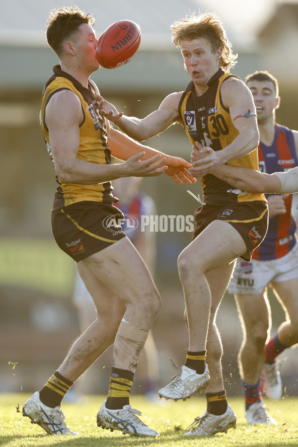 VFL 2023 Round 15 - Box Hill v Port Melbourne - A-40495708