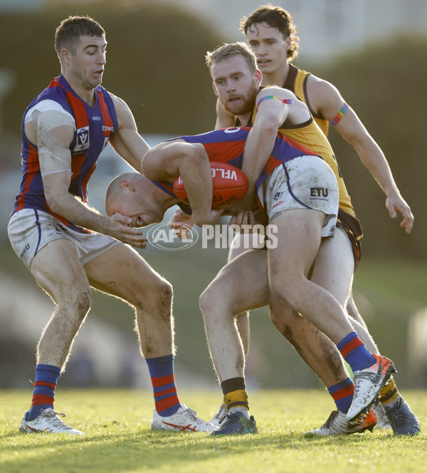 VFL 2023 Round 15 - Box Hill v Port Melbourne - A-40495712