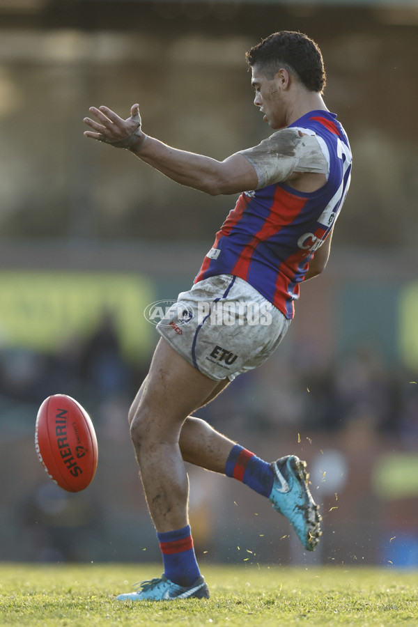 VFL 2023 Round 15 - Box Hill v Port Melbourne - A-40495720