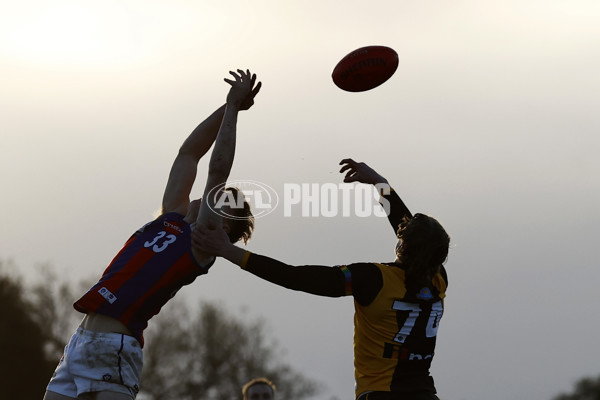 VFL 2023 Round 15 - Box Hill v Port Melbourne - A-40495729