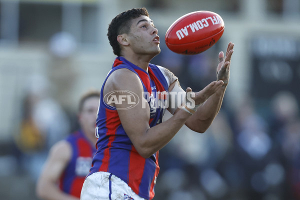 VFL 2023 Round 15 - Box Hill v Port Melbourne - A-40496013