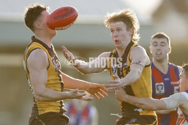 VFL 2023 Round 15 - Box Hill v Port Melbourne - A-40496015