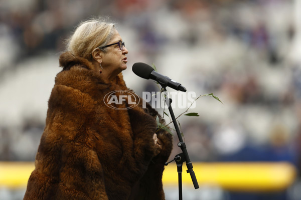 AFL 2023 Round 16 - Hawthorn v Carlton - A-40520270