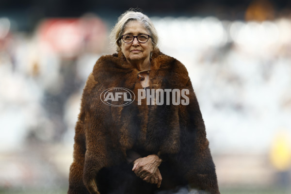 AFL 2023 Round 16 - Hawthorn v Carlton - A-40521058