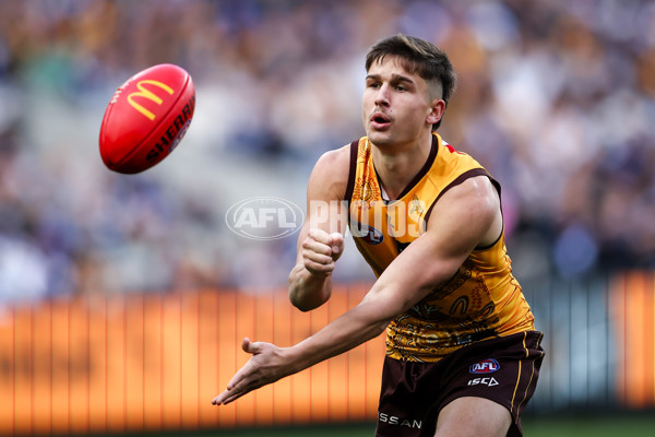 AFL 2023 Round 16 - Hawthorn v Carlton - A-40523913