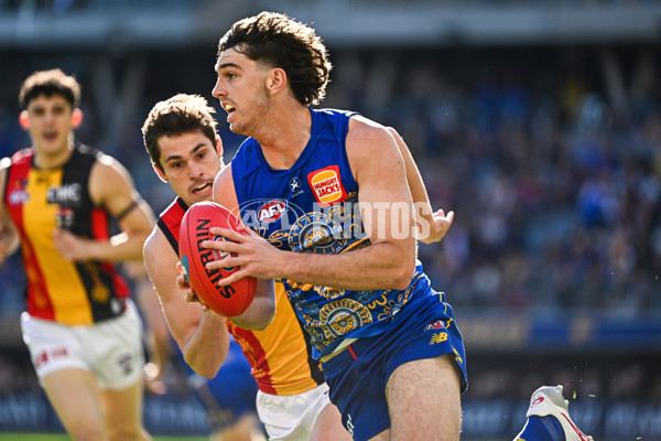 AFL 2023 Round 16 - West Coast v St Kilda - A-40536510