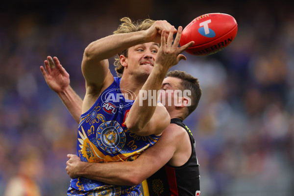 AFL 2023 Round 16 - West Coast v St Kilda - A-40547043