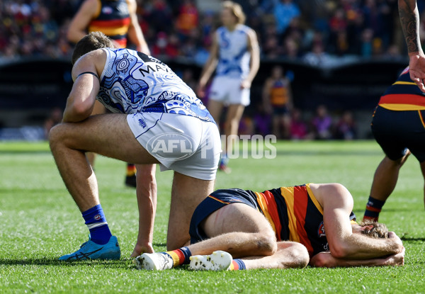 AFL 2023 Round 16 - Adelaide v North Melbourne - A-40558251