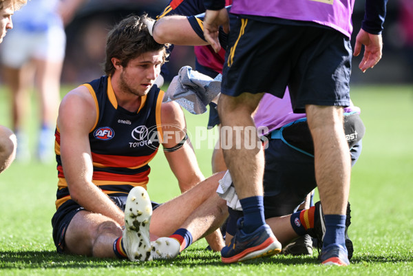 AFL 2023 Round 16 - Adelaide v North Melbourne - A-40558254