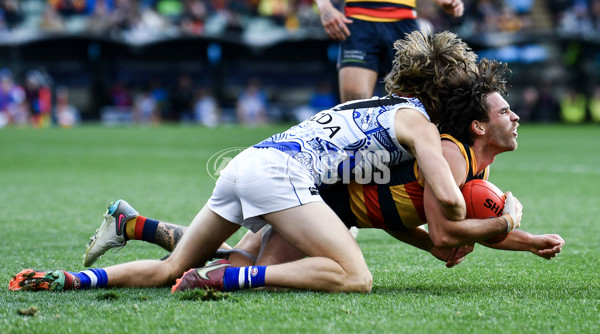 AFL 2023 Round 16 - Adelaide v North Melbourne - A-40559149