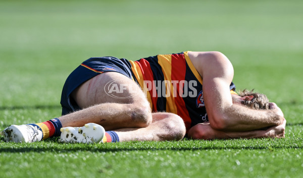 AFL 2023 Round 16 - Adelaide v North Melbourne - A-40561128