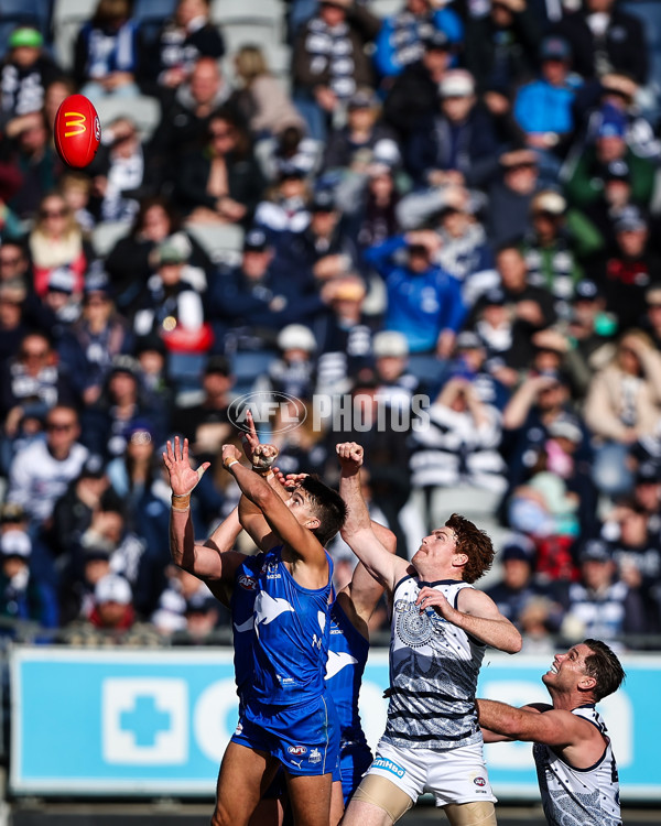 AFL 2023 Round 17 - Geelong v North Melbourne - A-40646795