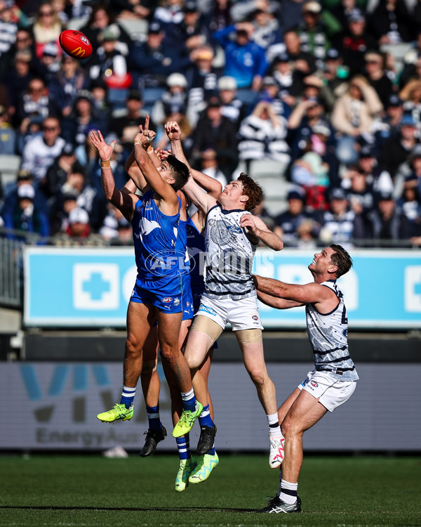 AFL 2023 Round 17 - Geelong v North Melbourne - A-40646798