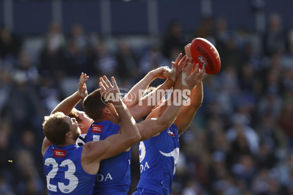 AFL 2023 Round 17 - Geelong v North Melbourne - A-40651483