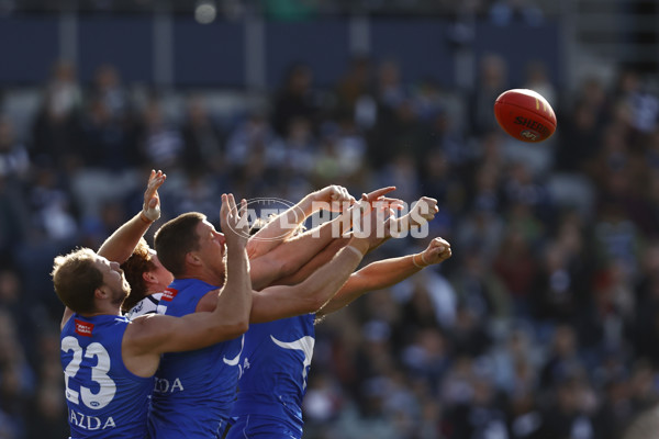 AFL 2023 Round 17 - Geelong v North Melbourne - A-40651484