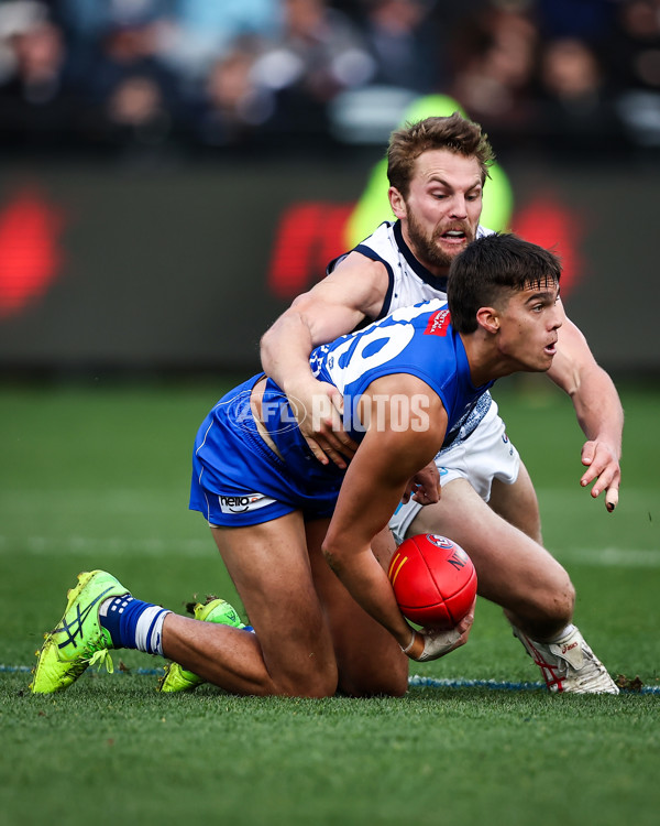 AFL 2023 Round 17 - Geelong v North Melbourne - A-40652288