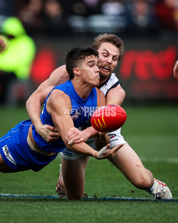 AFL 2023 Round 17 - Geelong v North Melbourne - A-40653835