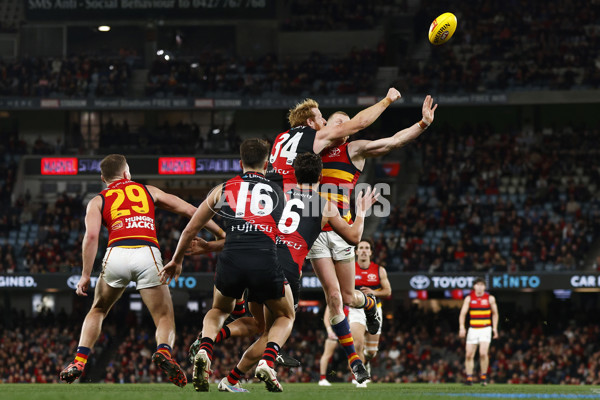 AFL 2023 Round 17 - Essendon v Adelaide - A-40667251