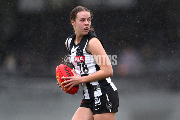 VFLW 2023 Qualifying Final - Collingwood v Port Melbourne - A-40668800