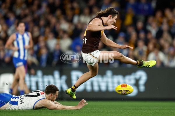 AFL 2023 Round 18 - North Melbourne v Hawthorn - A-40999853