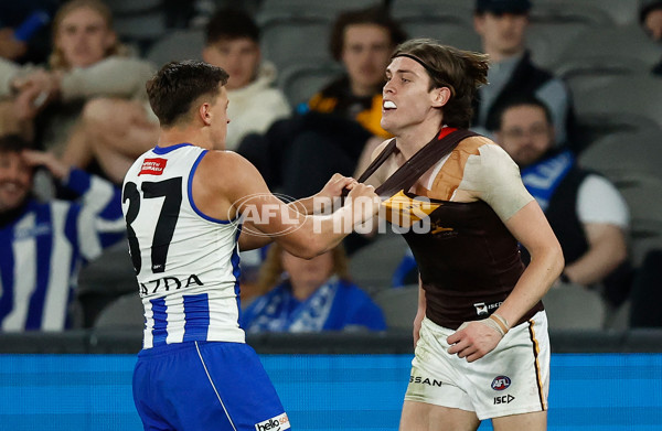 AFL 2023 Round 18 - North Melbourne v Hawthorn - A-41002677