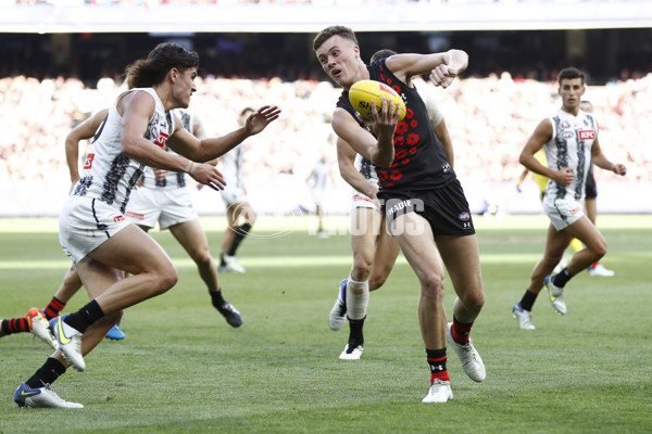 AFL 2022 Round 06 - Essendon v Collingwood - 940508