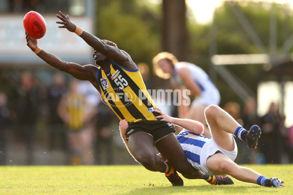 VFL 2022 Round 10 - Sandringham v North Melbourne - 955589