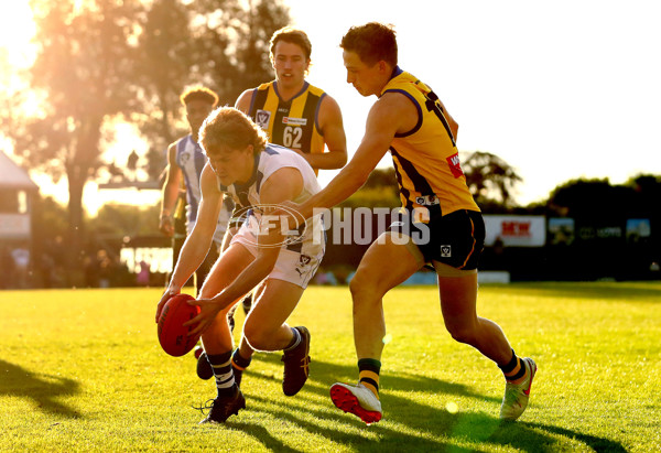 VFL 2022 Round 10 - Sandringham v North Melbourne - 955630