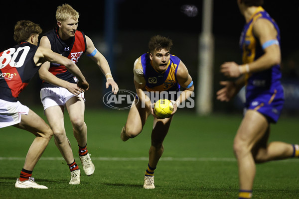 VFL 2023 Round 18 - Williamstown v Essendon - A-41153027