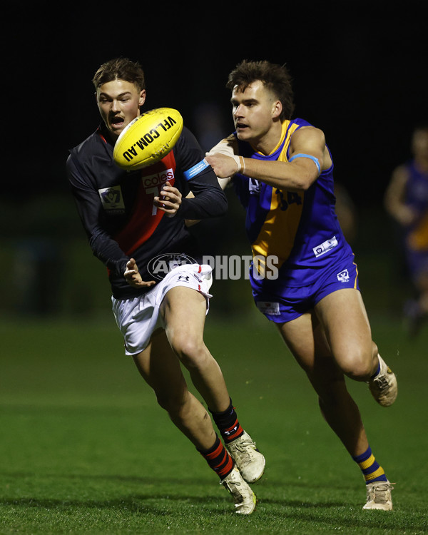 VFL 2023 Round 18 - Williamstown v Essendon - A-41154496