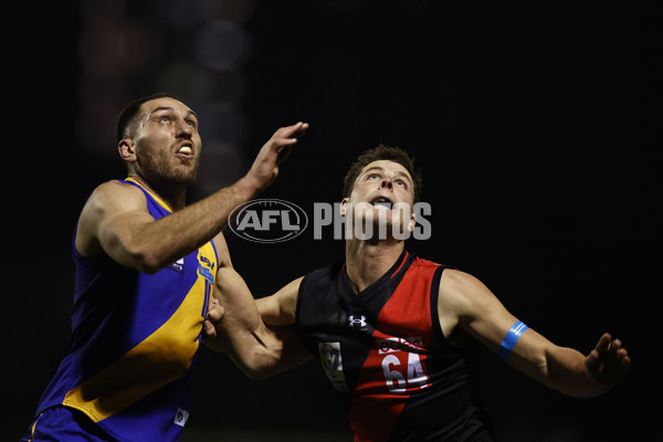 VFL 2023 Round 18 - Williamstown v Essendon - A-41156725